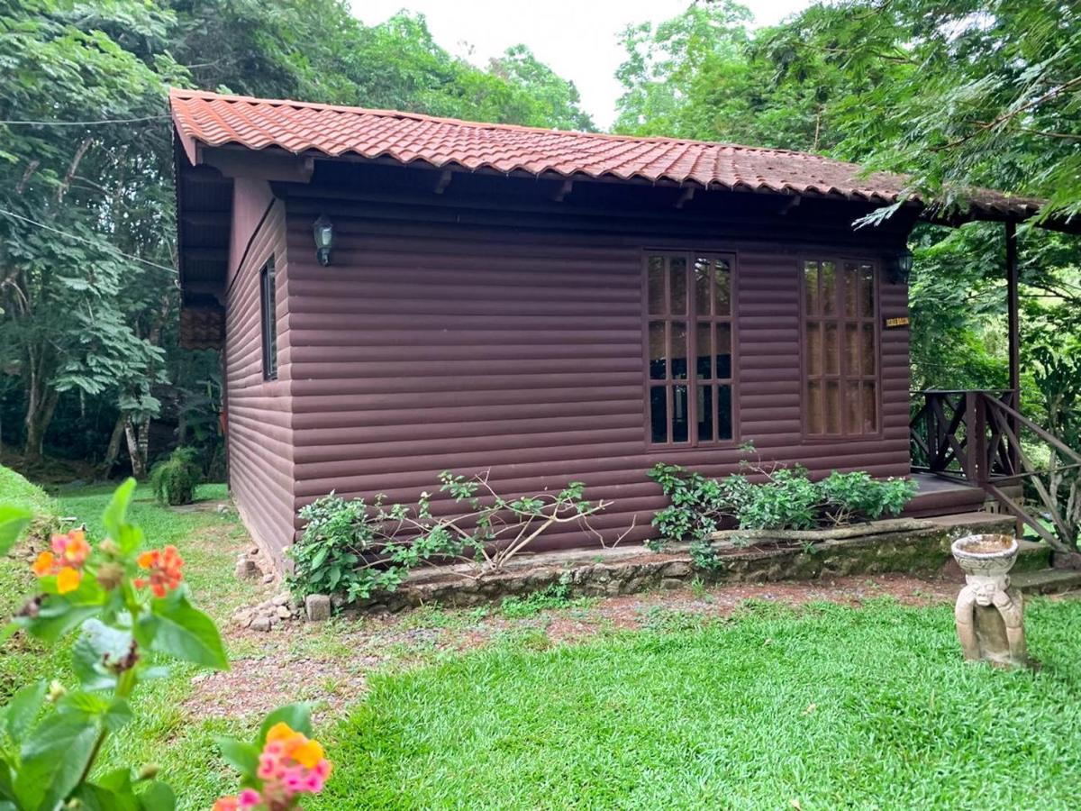 Hospedaje La Naciente Turrialba Exteriör bild