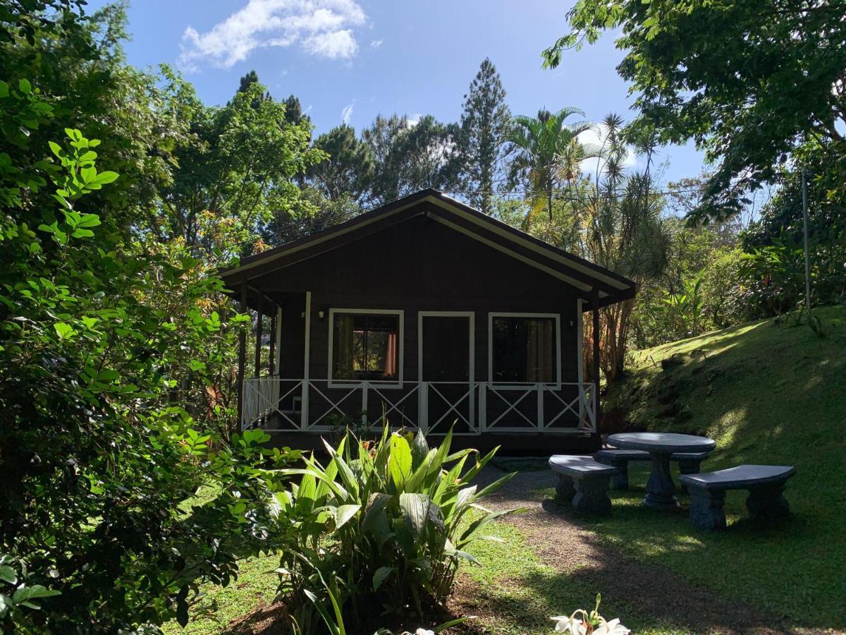 Hospedaje La Naciente Turrialba Exteriör bild