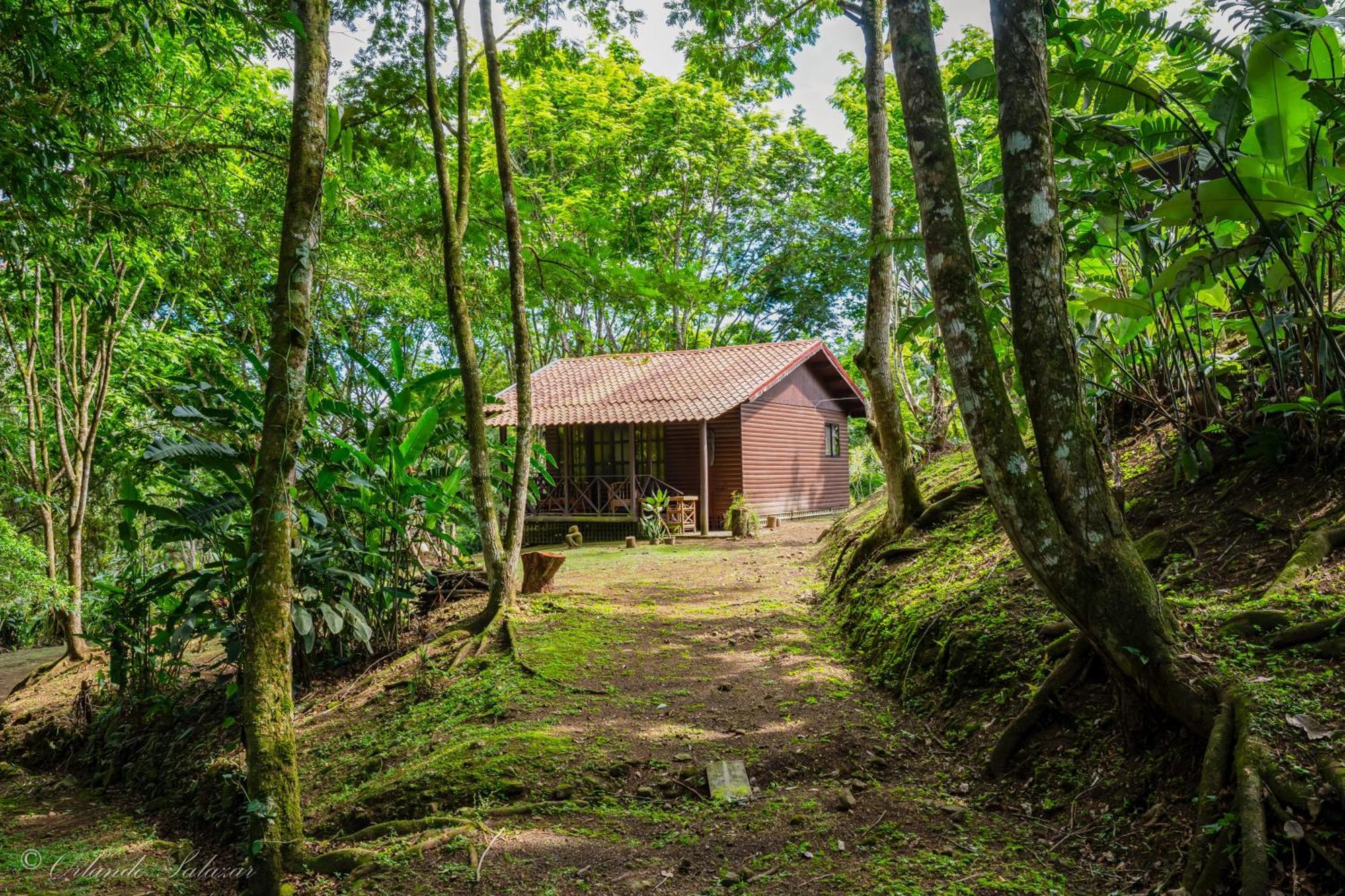 Hospedaje La Naciente Turrialba Exteriör bild