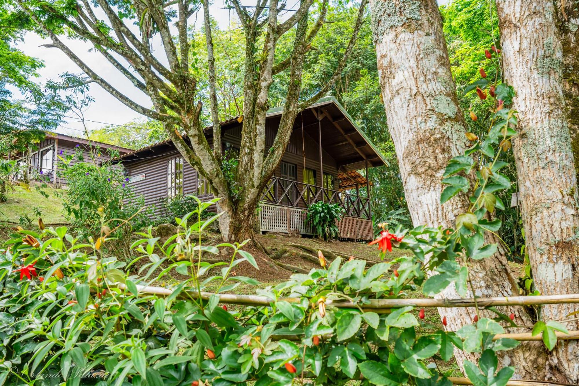 Hospedaje La Naciente Turrialba Exteriör bild
