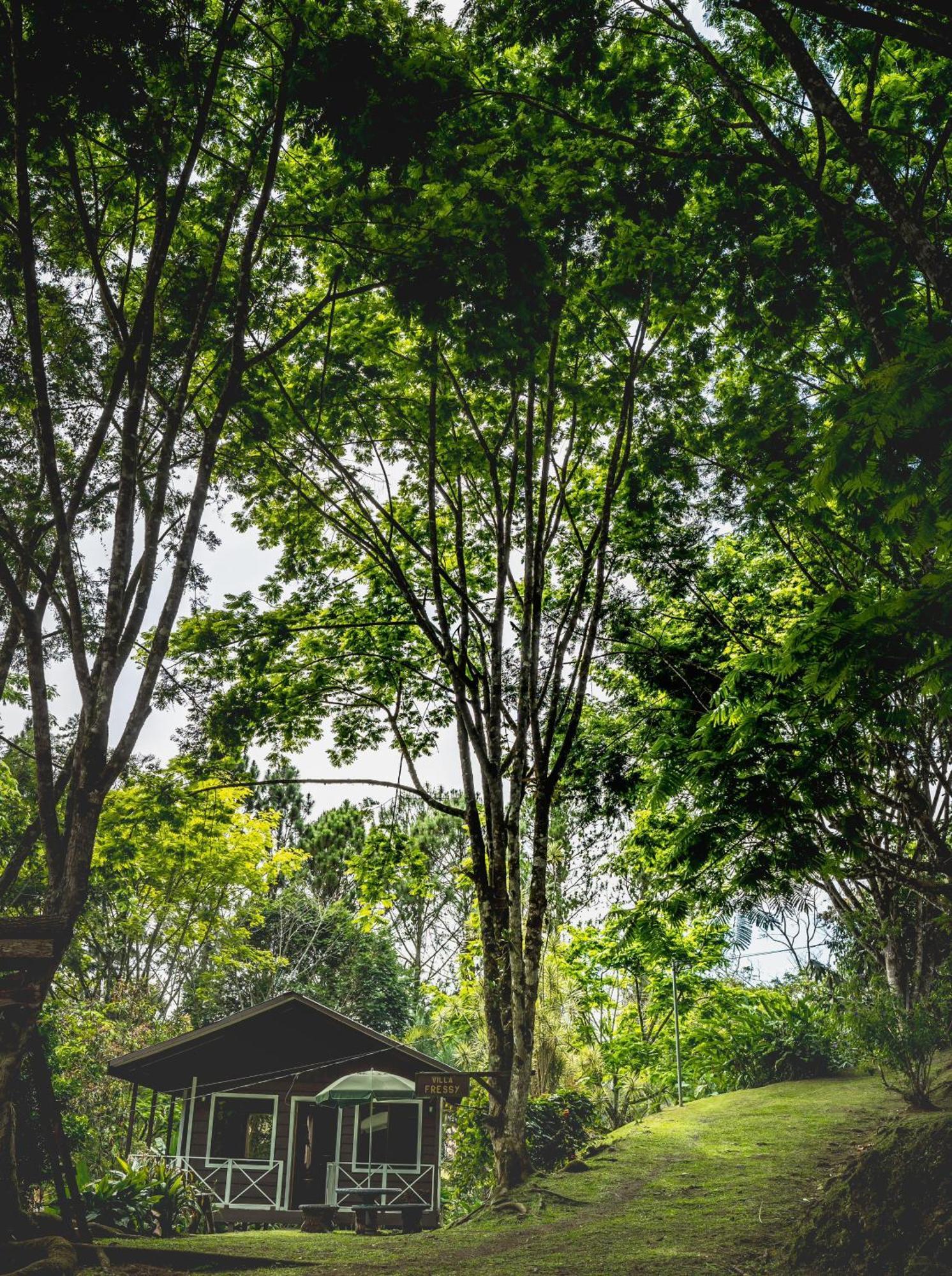 Hospedaje La Naciente Turrialba Exteriör bild