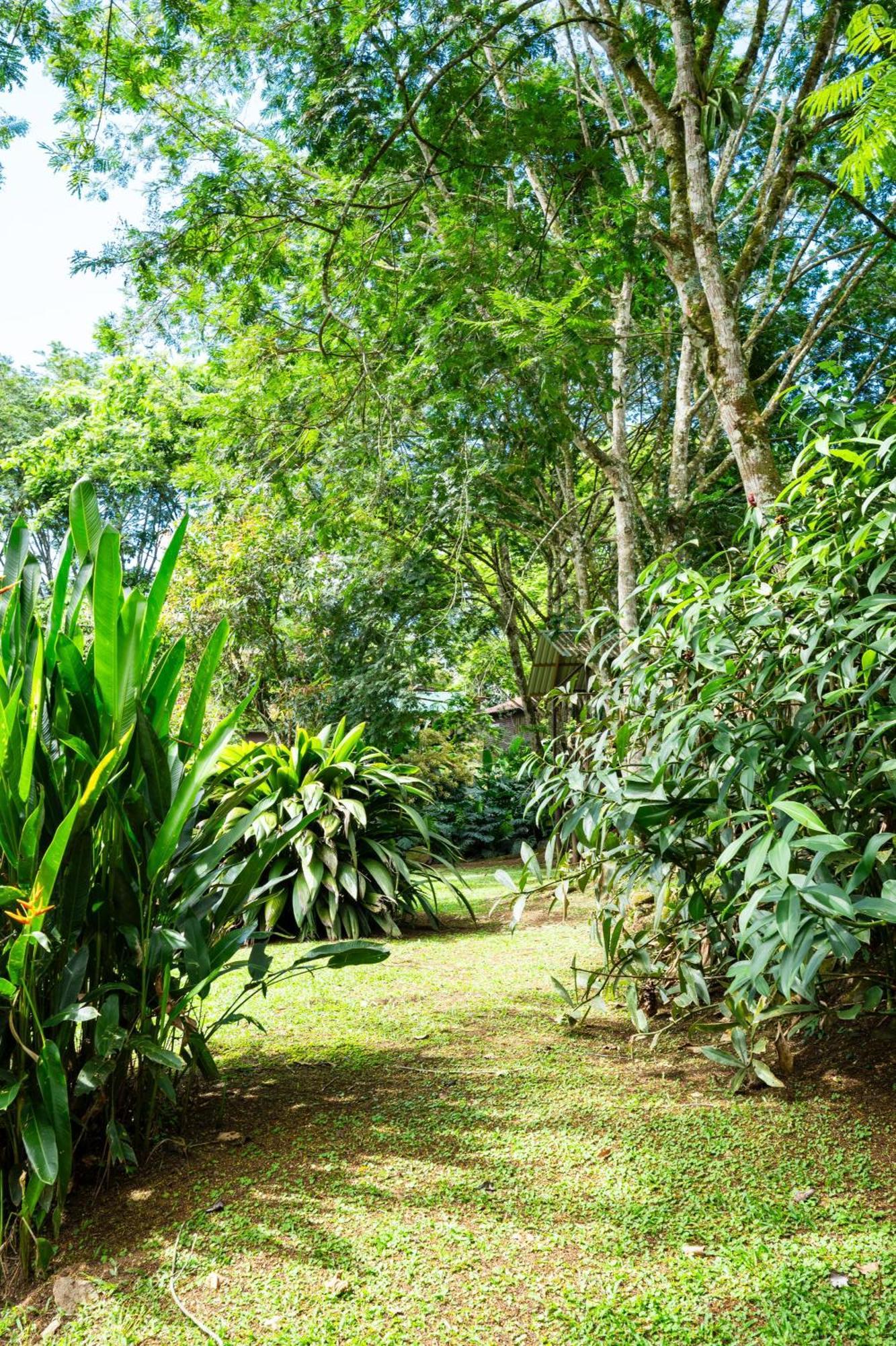 Hospedaje La Naciente Turrialba Exteriör bild