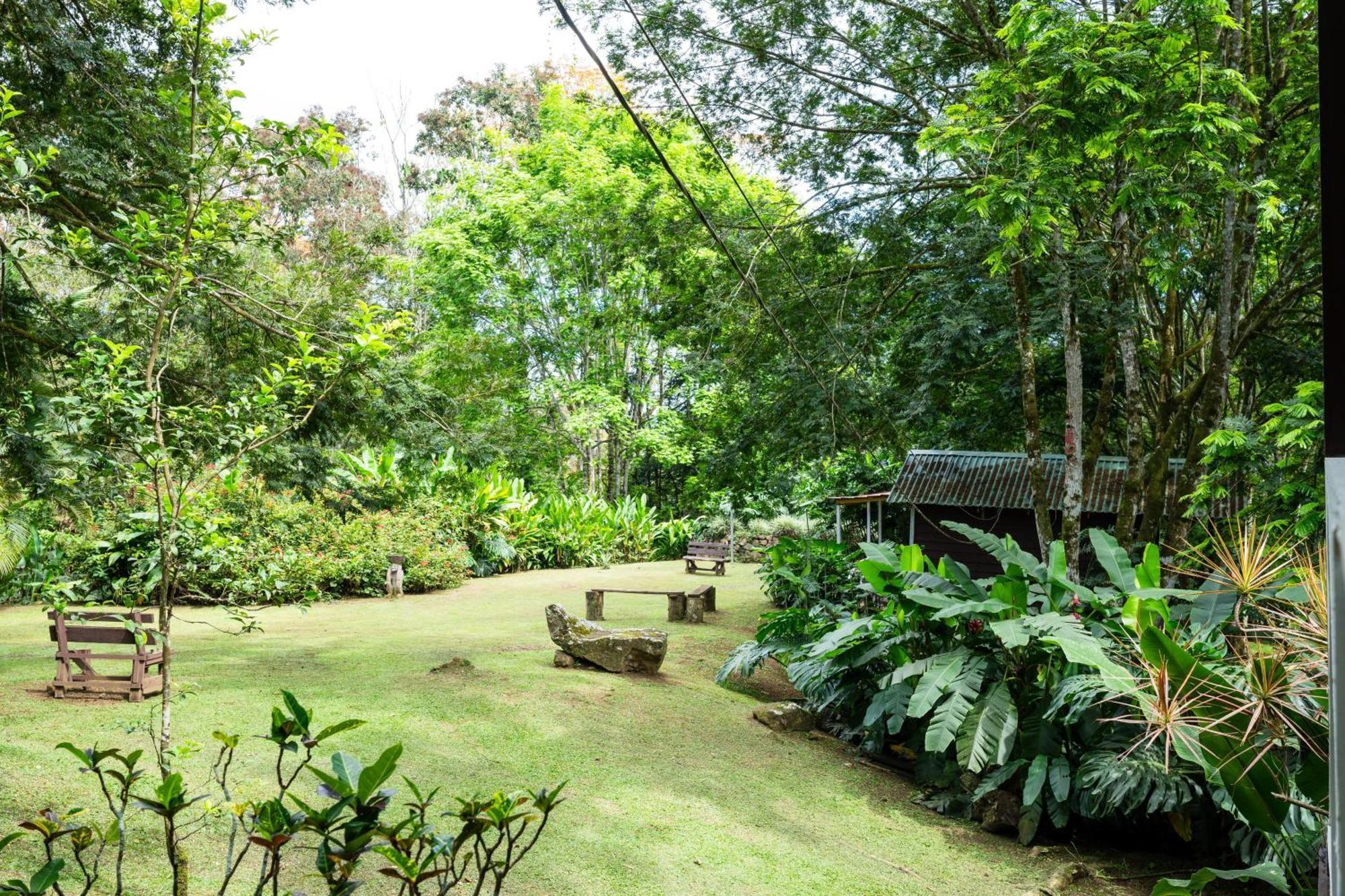 Hospedaje La Naciente Turrialba Exteriör bild