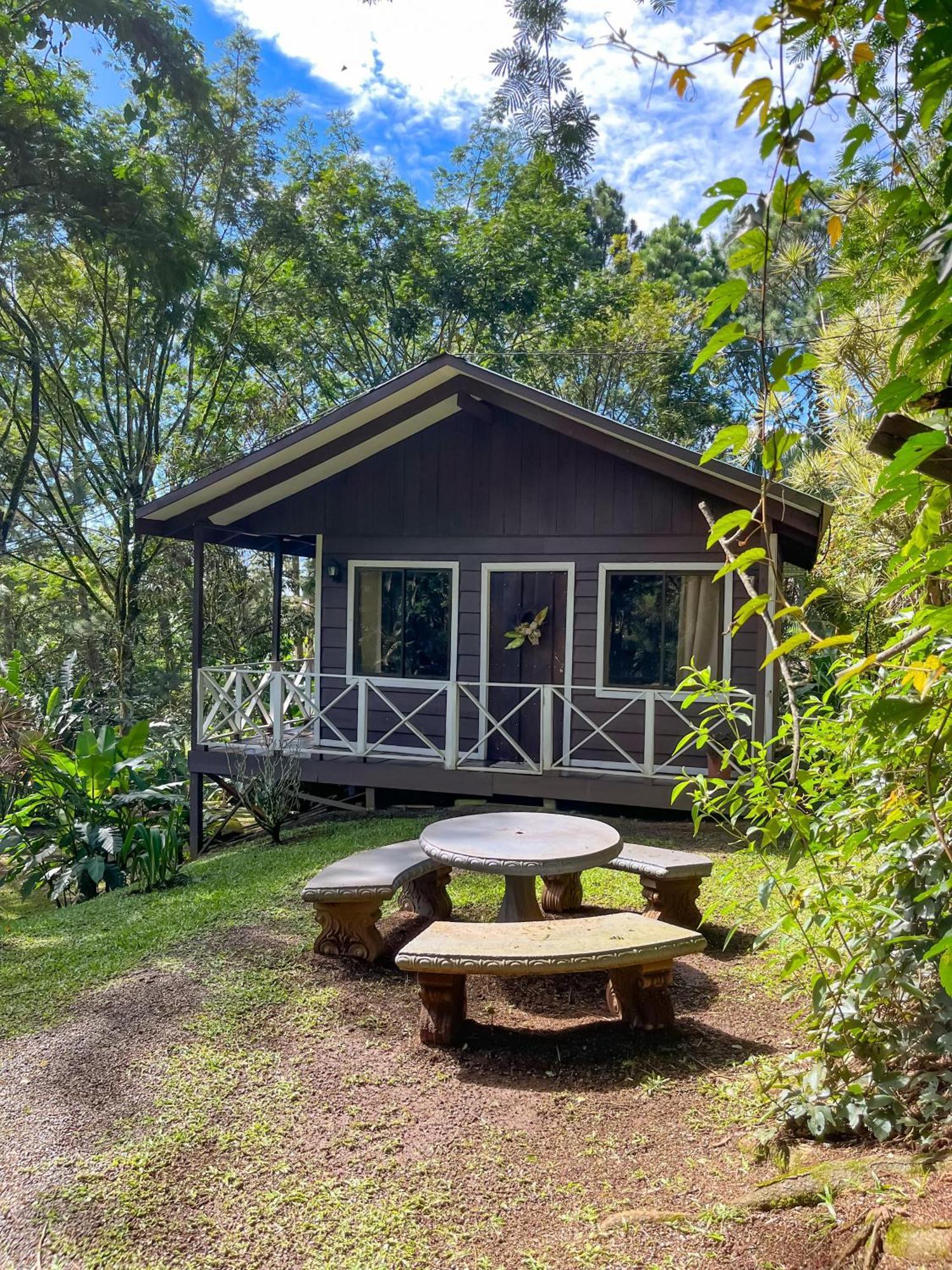 Hospedaje La Naciente Turrialba Exteriör bild