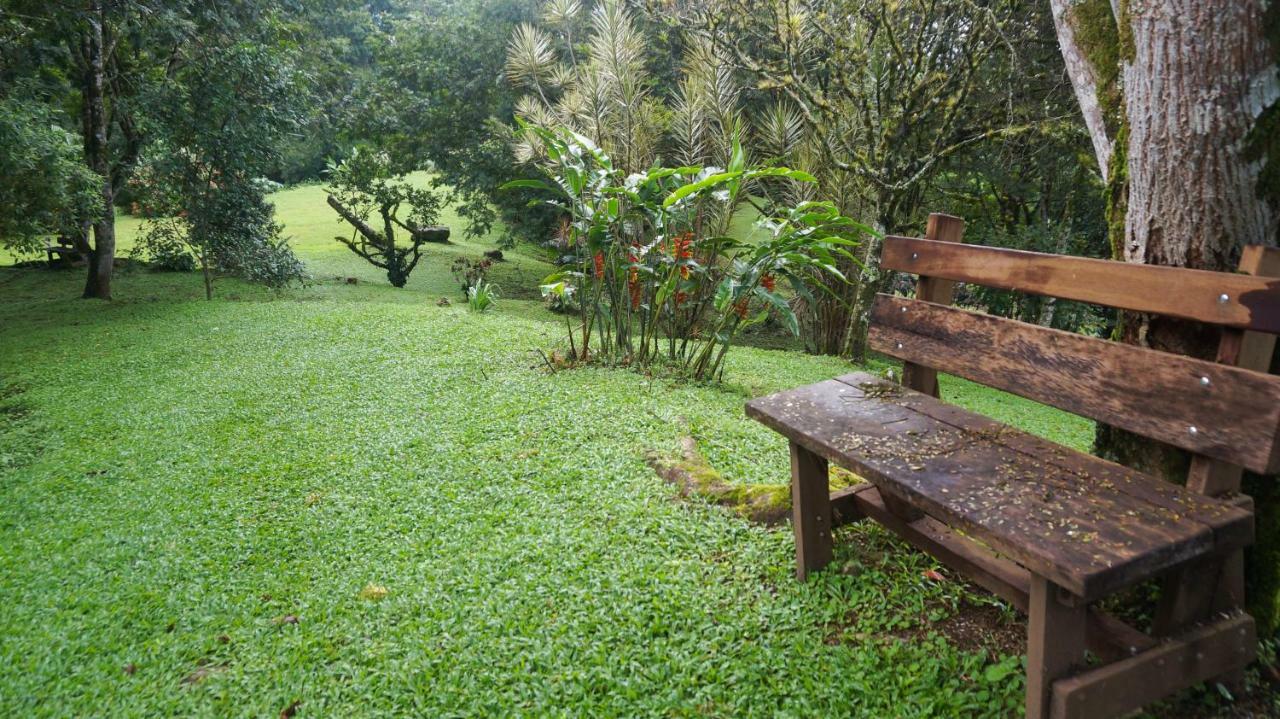 Hospedaje La Naciente Turrialba Exteriör bild