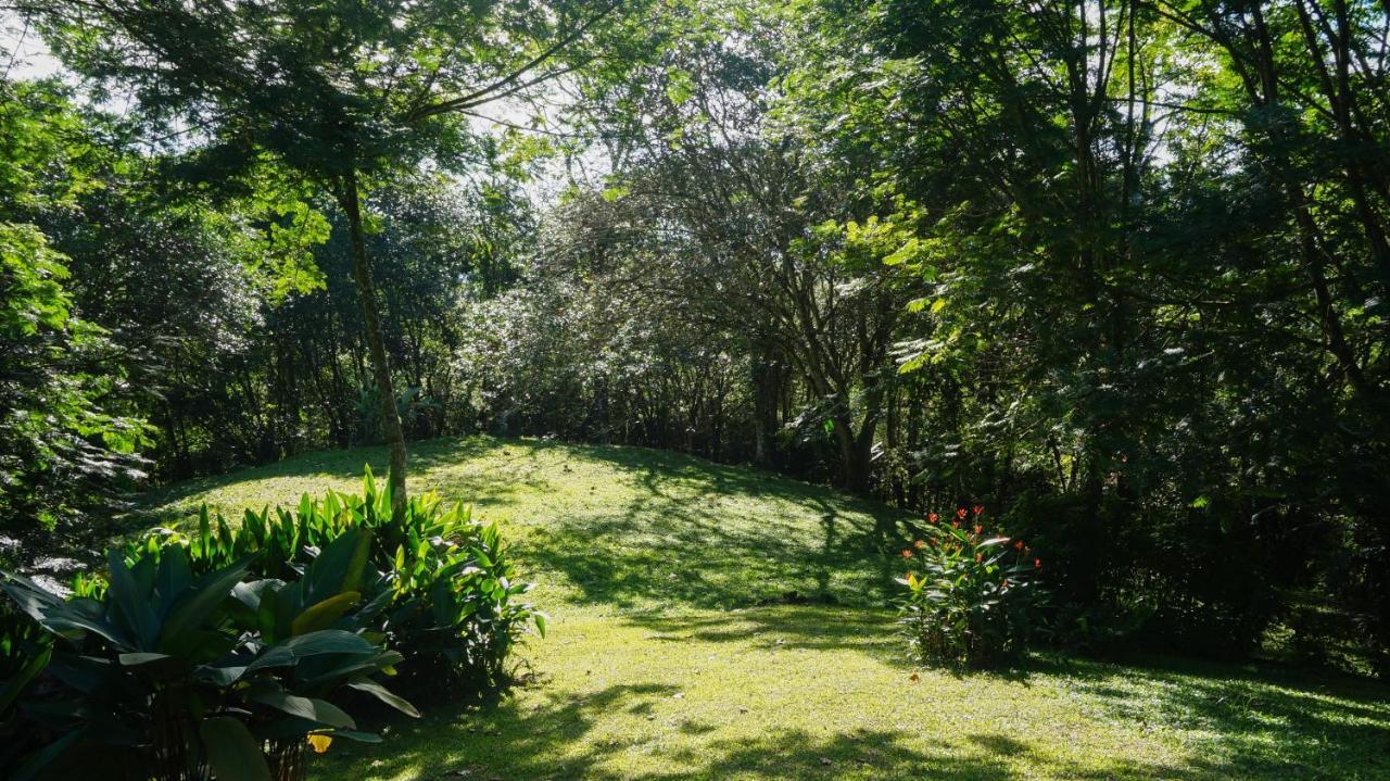 Hospedaje La Naciente Turrialba Exteriör bild